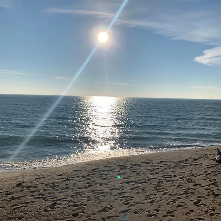 Apparent On The Main Street Warna