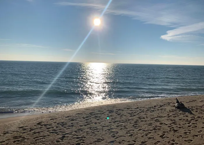 Apparent On The Main Street Warna